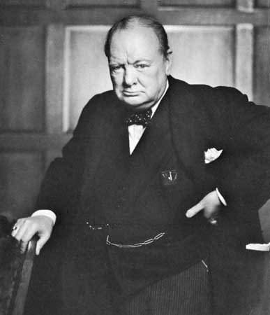 Nikdy nedosiahnete svoj cieľ, ak budete hádzať kamene na každého štekajúceho psa (Churchill)