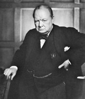 Nikdy nedosiahnete svoj cieľ, ak budete hádzať kamene na každého štekajúceho psa (Churchill)